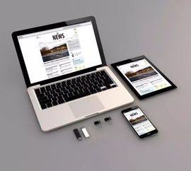 承德網站建設 為何必須選擇專業的軟硬件與網絡技術開發公司