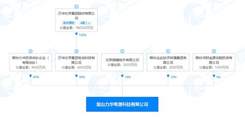 萬華化學進軍新能源領域 煙臺投資2億元設立電源科技公司，賦能數(shù)字文創(chuàng)內容應用服務
