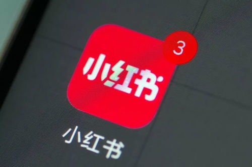24小時內兩筆投資曝光 小紅書跨界布局數(shù)字文創(chuàng)，是“不務正業(yè)”還是謀篇“大棋”？